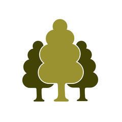 Deciduous forest icon