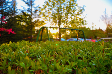 park behind the sunset
