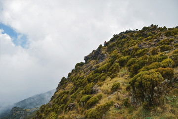 Fototapeta na wymiar The volcanic rock formations at Aberdare Ranges, Kenya