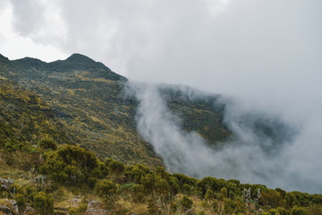 The volcanic rock formations at Aberdare Ranges, Kenya