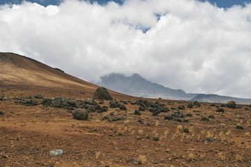 The highland desert against the background of Mawenzi Peak, Mount Kilimanjaro, Tanzania