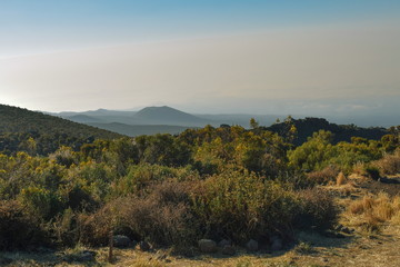 The highland altitude moorland against a mountain background, Mount Kilimanjaro National Park, Tanzania