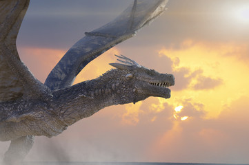 the dragon fly 3D render