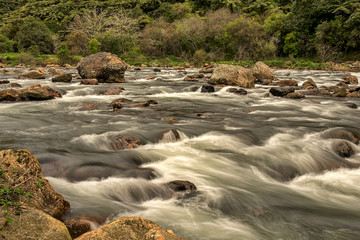 cascades of water in the rapids in the river in the forest