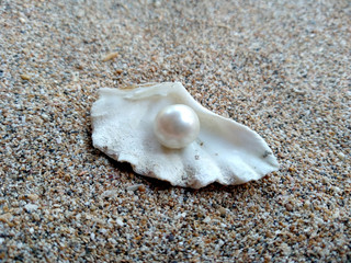 Shells and pearls in the sand. Shell with a pearl on a beach sand. An open sea shell with a pearl inside. Shell with a pearl.