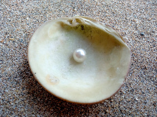 Shells and pearls in the sand. Shell with a pearl on a beach sand. An open sea shell with a pearl inside. Shell with a pearl.