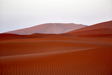 Fototapeta na wymiar sand dunes desert sahara