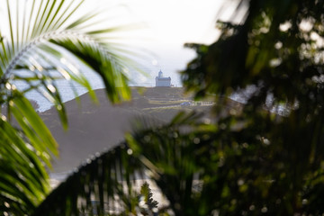 Tacking Point lighthouse framed with tropical palm trees against a calm morning ocean in Port Macquarie, Australia