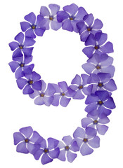Numeral 9, nine, from natural blue flowers of periwinkle, isolated on white background