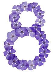 Numeral 8, eight, from natural blue flowers of periwinkle, isolated on white background