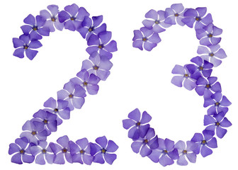 Numeral 23, twenty three, from natural blue flowers of periwinkle, isolated on white background