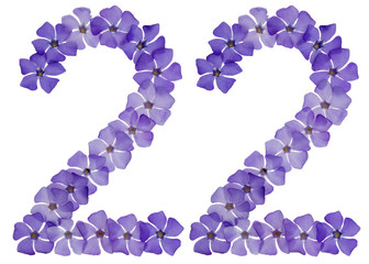 Numeral 22, twenty two, from natural blue flowers of periwinkle, isolated on white background