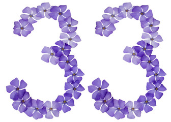 Numeral 33, thirty three, from natural blue flowers of periwinkle, isolated on white background