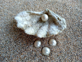 Shells and pearls in the sand. Shell with a pearl on a beach sand. An open sea shell with a pearl inside. Shell with a pearl.