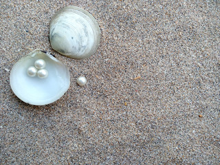 Fototapeta na wymiar Shells and pearls in the sand. Shell with a pearl on a beach sand. An open sea shell with a pearl inside. Shell with a pearl.