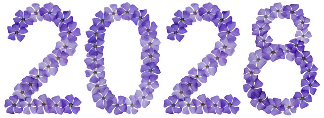 Inscription 2028, from natural blue flowers of periwinkle, isolated on white background