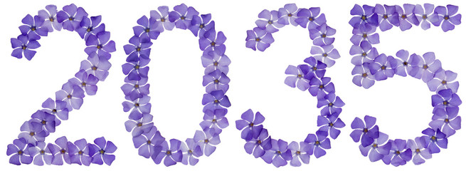 Inscription 2035, from natural blue flowers of periwinkle, isolated on white background