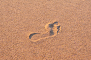 Fototapeta na wymiar Lost - A Single footprint in the sand on a beach or a sand dune somewhere
