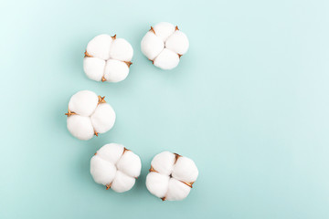A half wreath made from cotton flowers on light green background. Nature and spring concept. Flat lay, top view. Copy space for your text.