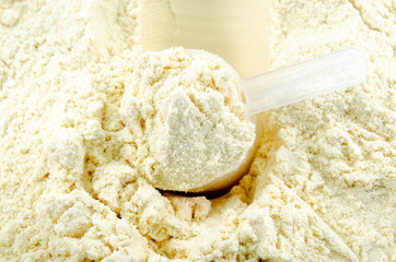 Vanilla Protein