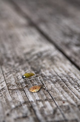 Old rusted fishing gear laying on a table