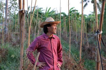 Man farmer standing in front of the vegetable plot and wearing a straw hat.
