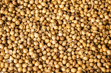 Coriander Seeds