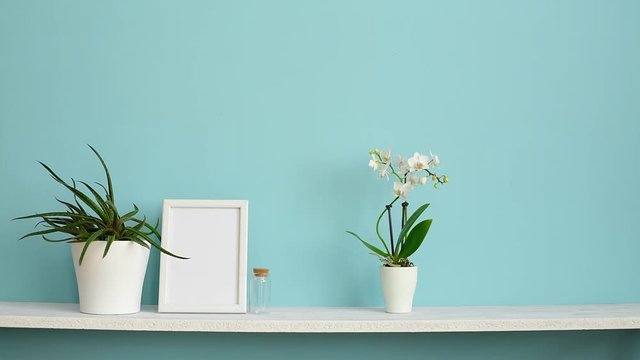 Picture frame mockup. White shelf against pastel turquoise wall with potted orchid and hand putting down succulent plant.