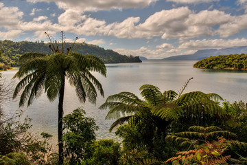 Fototapeta na wymiar Lake Tarawera scenery on a calm but cloudy summers day