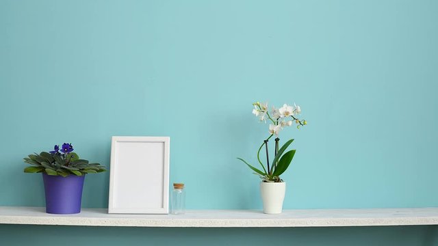 Picture frame mockup. White shelf against pastel turquoise wall with potted orchid and hand putting down violet plant.