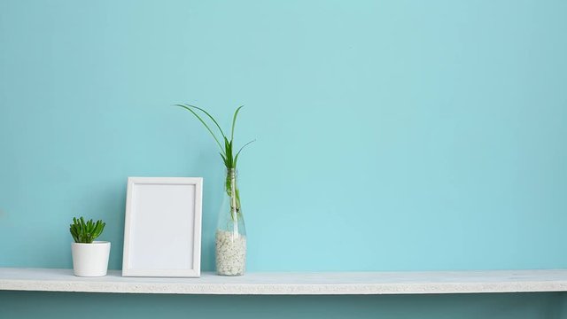 Picture frame mockup. White shelf against pastel turquoise wall with spider plant cuttings in water and hand putting down succulent.