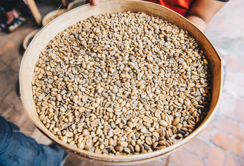 Cropped shot view of Indonesian woman holding a wooden tray of roasted coffee beans from civet cat poo. The process of Luwak coffee one of the world's expensive coffee.