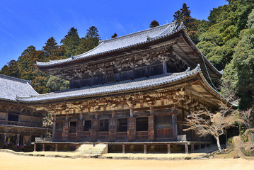 Fototapeta premium Himeji, Japan