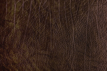Reptile leather textile backdrop