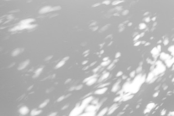 Shadow blur of the leaves on white wall abstract background.