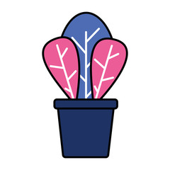 potted plant decoration