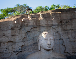 Buddha and instant gratification monkey