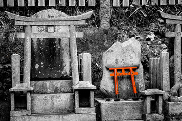 torii desaturación selectiva