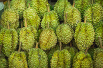 fresh durians in the durian market.