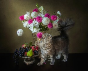 Still life with bouquet of flowers and adorable gray kitty