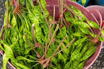 bunch of parkia speciosa in Thailand market