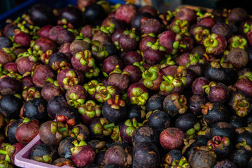 Mangosteen from Garden fruit sent to sell in the market. Close up and soft focus fruit in Thailand.