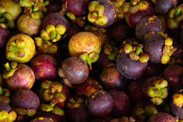 Mangosteen from Garden fruit sent to sell in the market. Close up and soft focus fruit in Thailand.