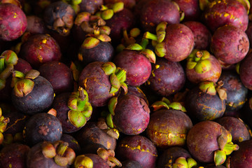 Mangosteen from Garden fruit sent to sell in the market. Close up and soft focus fruit in Thailand.