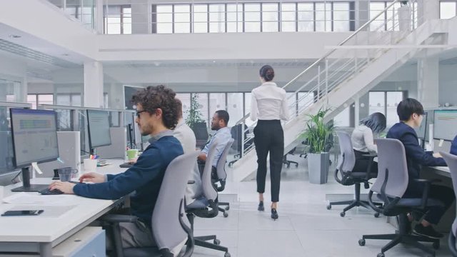 Diverse Team of Business Managers and Specialists Work on Desktop Computers with Two Rows of Tables Side by Side. Young and Motivated Business people in Modern Open Office.
