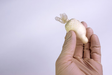 detection of cocaine and heroin: a medical laboratory worker holds in his hand a transport container made of a condom with a sample of a powder of narcotic substance for analysis, a light background