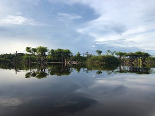 Reflexionen im Amazonas