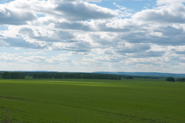 Fields of the clouds. Sky over crops