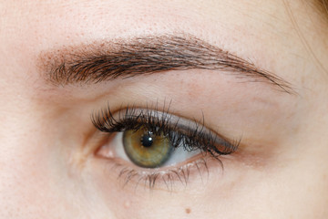 Result of permanent makeup, tattooing of eyebrows - obrazy, fototapety, plakaty
