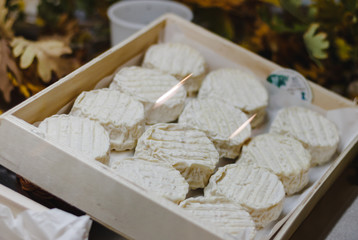 Paraldon or pélardon cheese in a box. French gourmet cuisine.